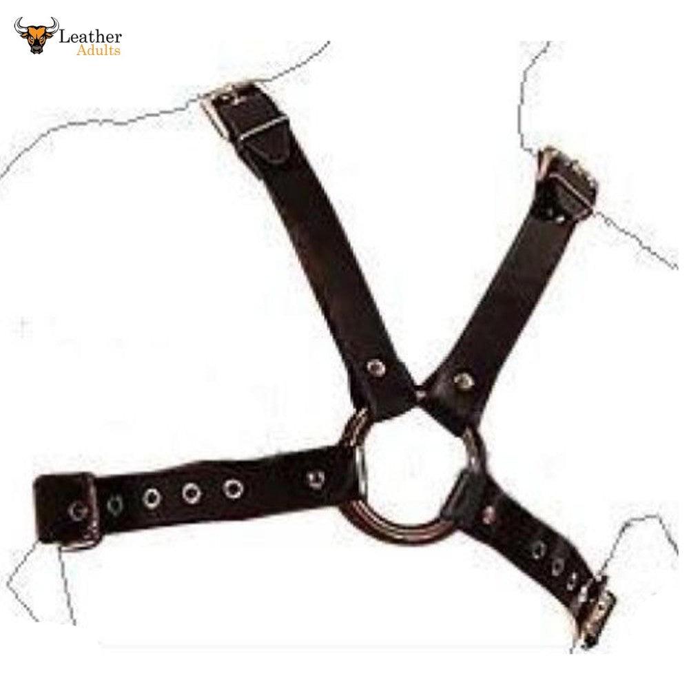 Black leather harness on a white background